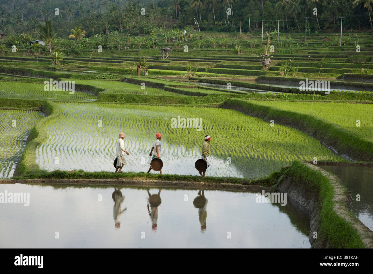 Farmer walking field hi-res stock photography and images - Alamy