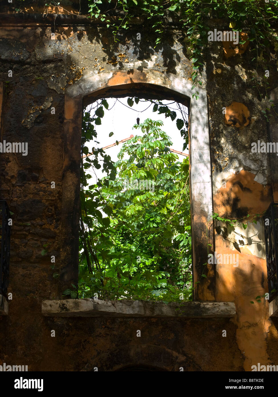 Vegetating invading the window of an abandoned house in São Luis, Maranhão State, Brazil. Stock Photo