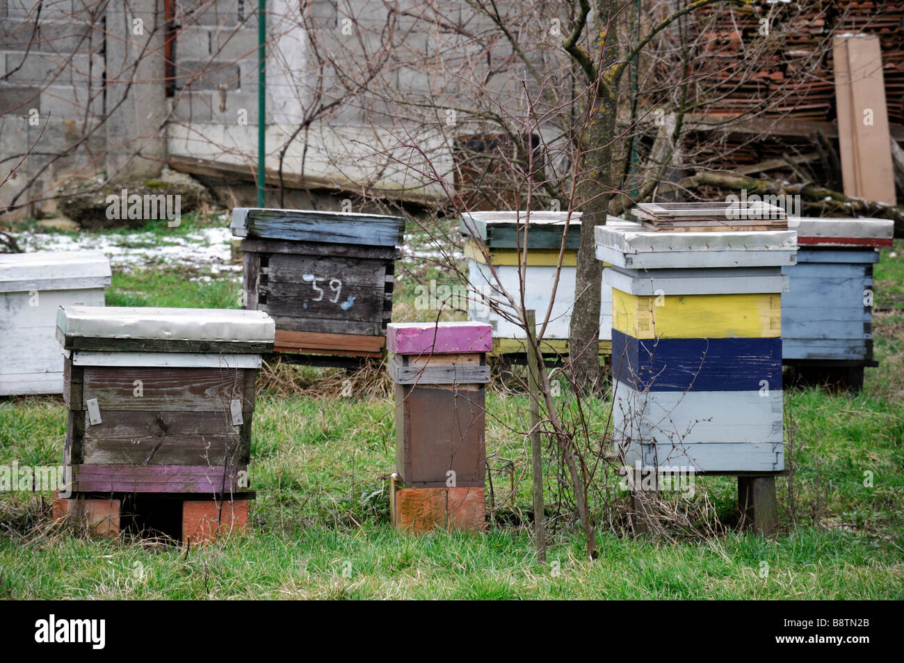 Bee hives traditional hi-res stock photography and images - Alamy