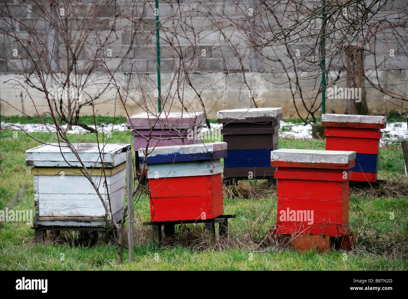 Traditional bee hives hi-res stock photography and images - Alamy