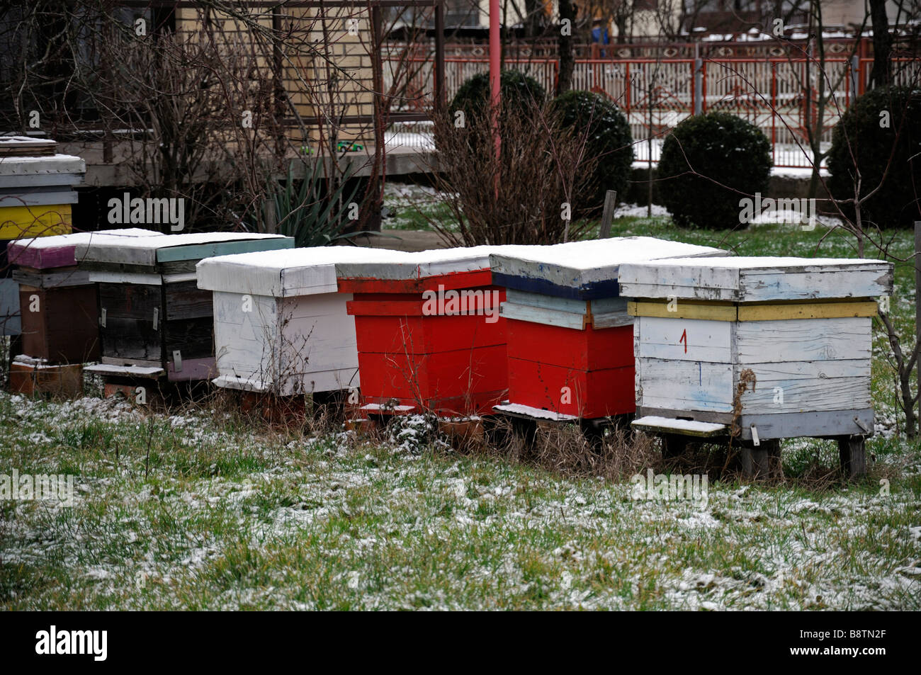 Bee hives house hi-res stock photography and images - Alamy
