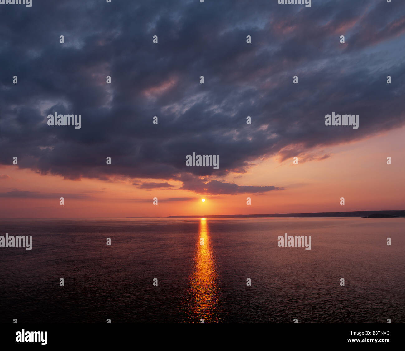 A golden path across the sea from Bolt Tail to the setting sun The ...