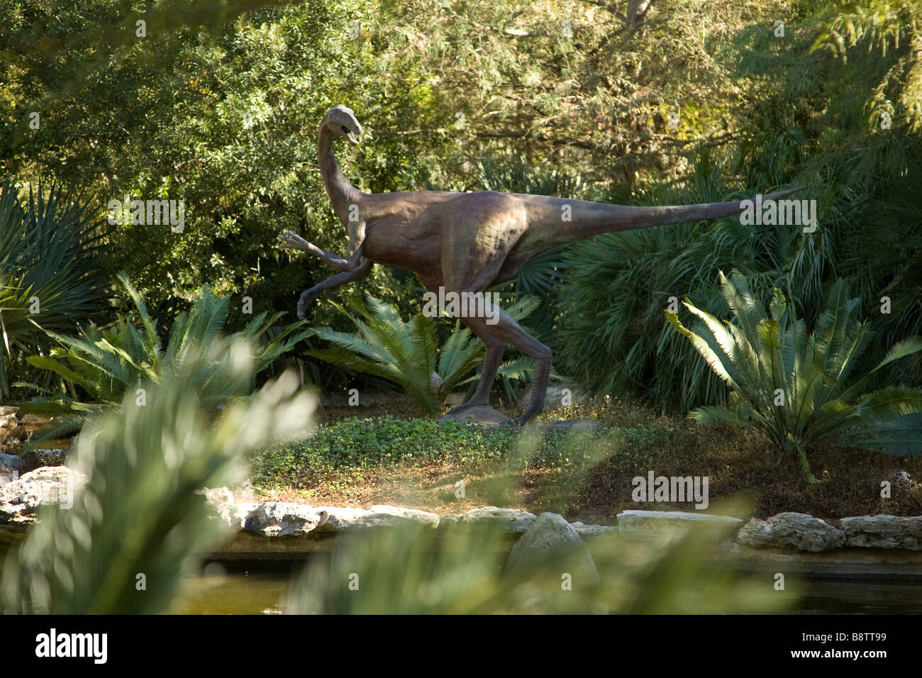A bronze velociraptor statue in the Prehistoric Garden at  the Zilker Park Botanical Garden in Austin, Texas Stock Photo