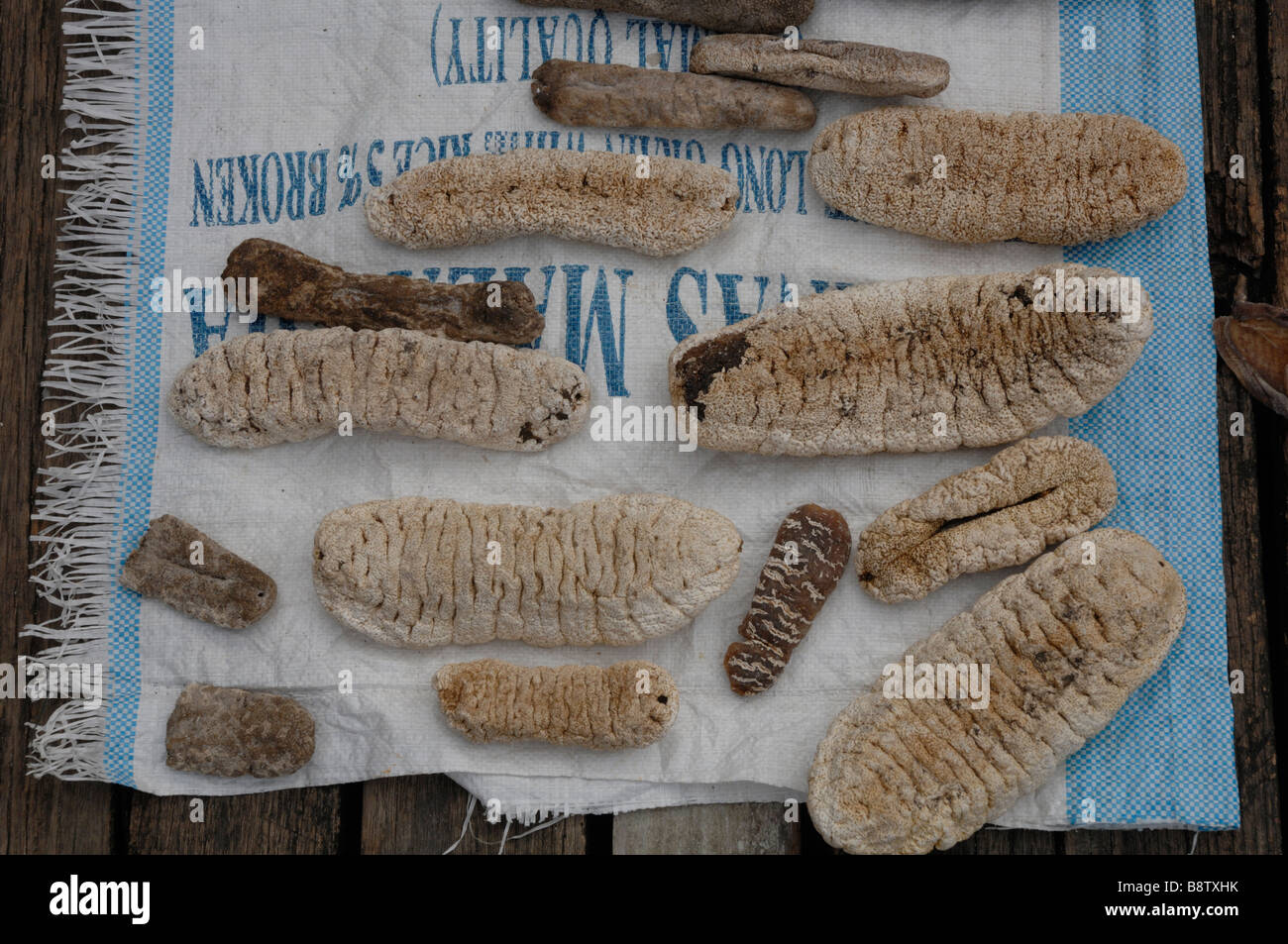 Sea cucumbers drying in sun dried fish market Semporna Sabah Malaysia