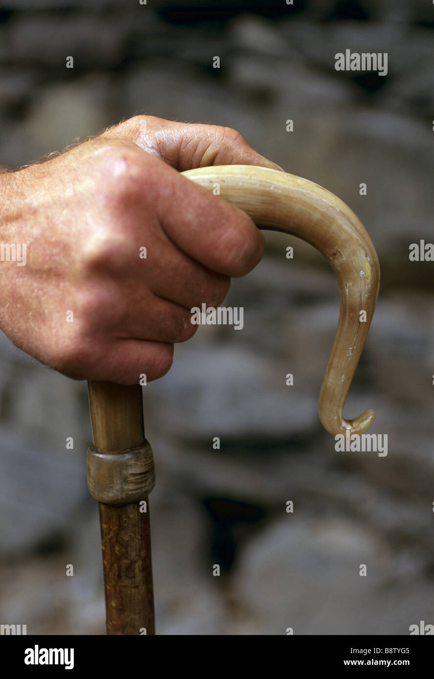 A shepherd s crook at Yew Tree Farm Coniston Lake District Cumbria ...