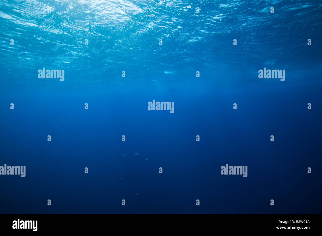 Blue Wave Patterns High Resolution Stock Photography and Images - Alamy