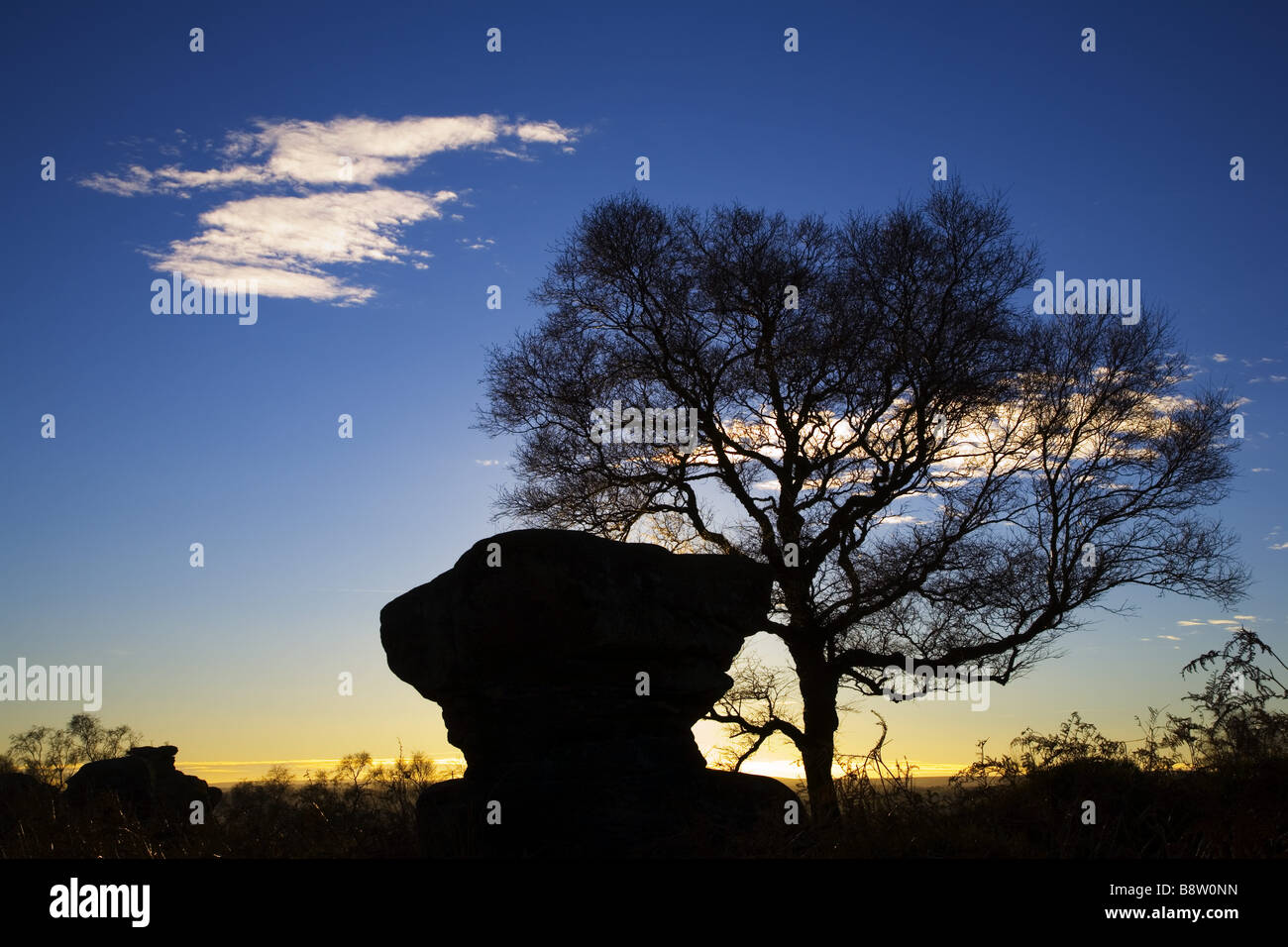 Sunset against a lone tree and the strange rock formations at Brimham Rocks at Nidderdale North Yorkshire Stock Photo