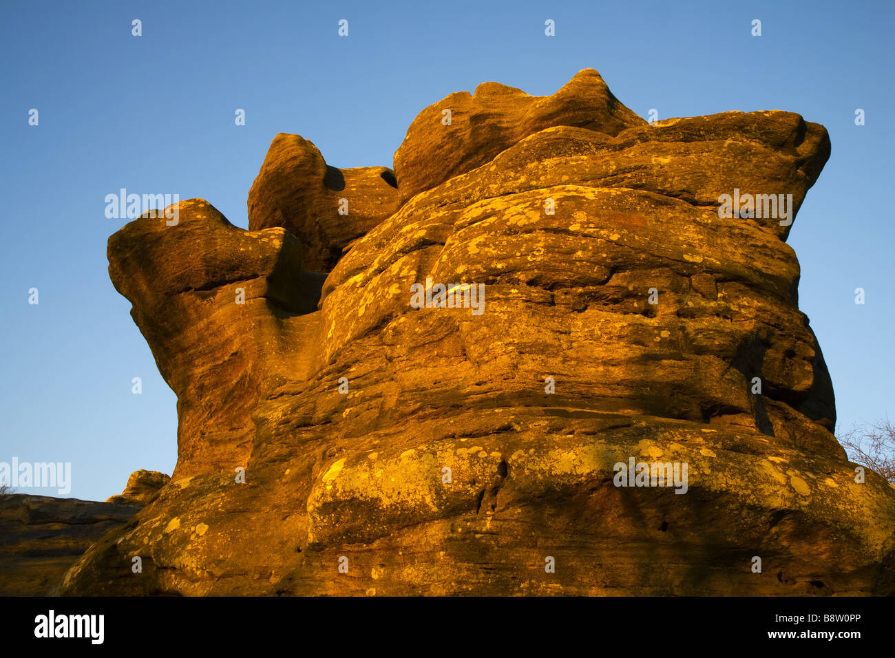 The strange millstone grit rock formations at Brimham Rocks at Nidderdale North Yorkshire Stock Photo