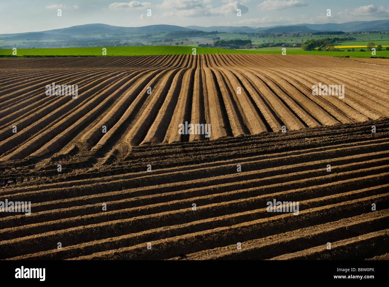 photograph of plowed field looking onto grampian hills Stock Photo Alamy