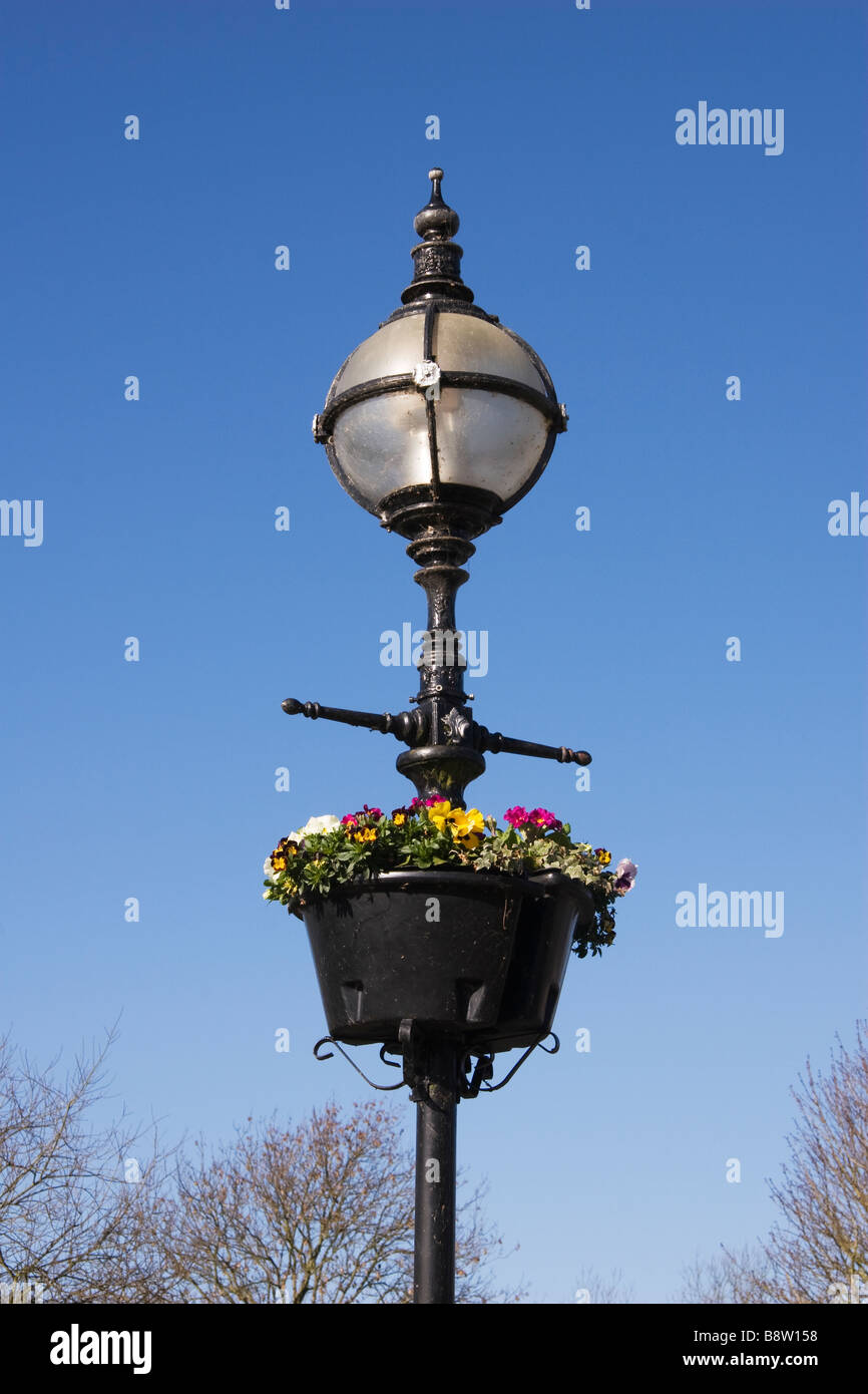 Flowers on an ornate street lamp. Stock Photo