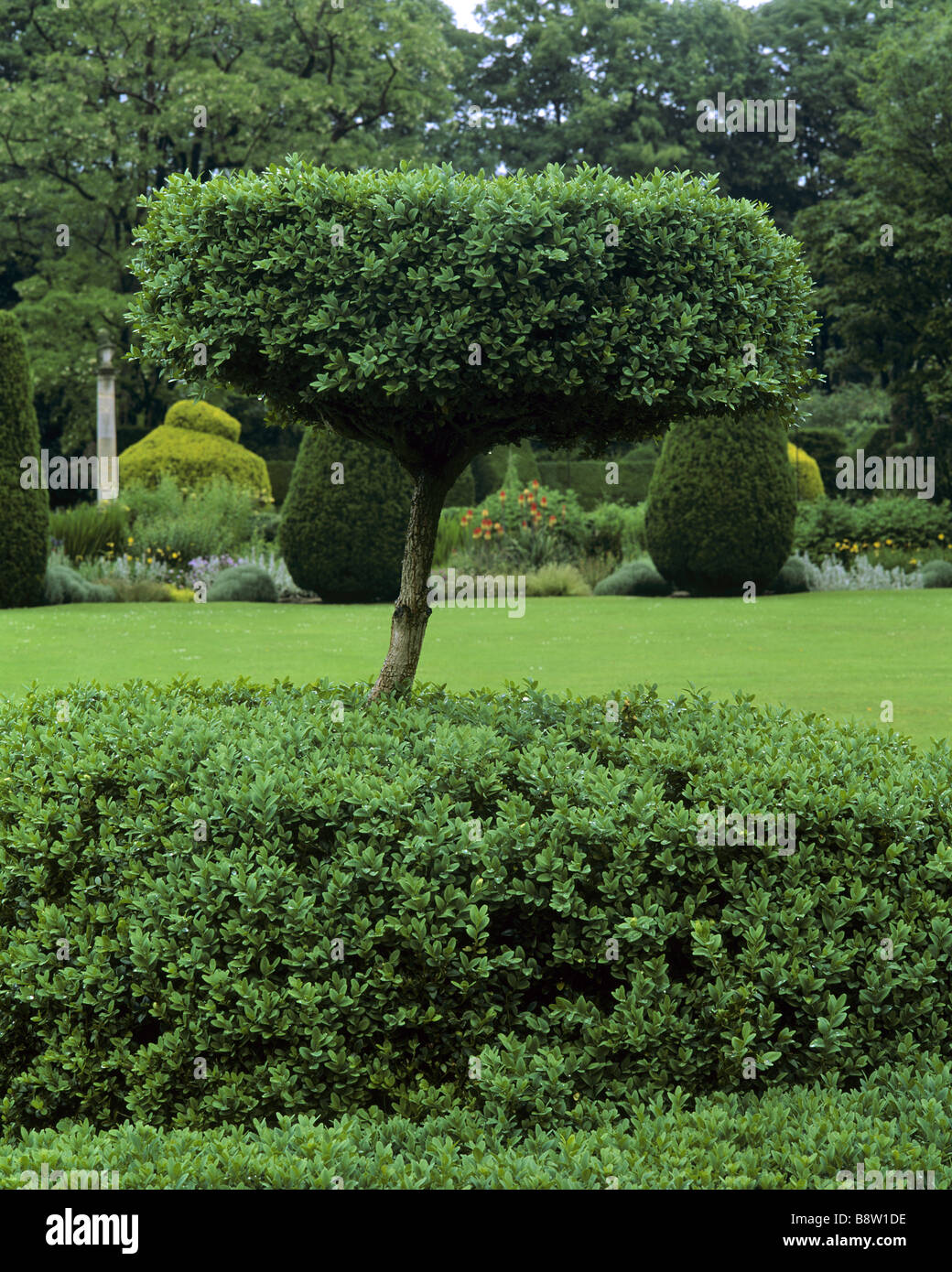 Topiary Column The Courts general view of garden with lawn topiary and stone column ...