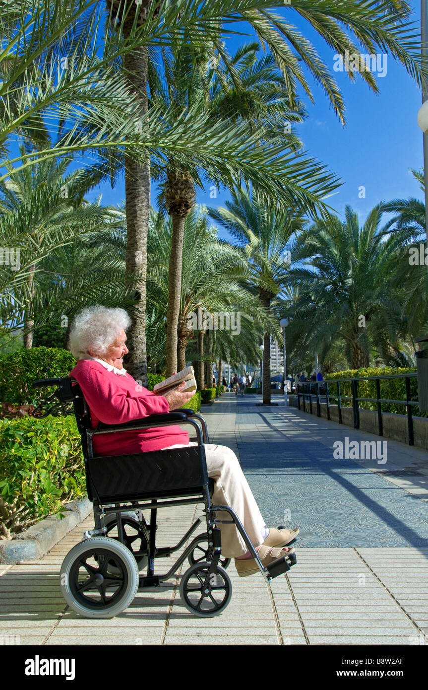 ELDERLY HOLIDAY WHEELCHAIR Contented elderly disabled lady sitting in her wheelchair reading a book in sunny holiday vacation palm tree lined setting Stock Photo