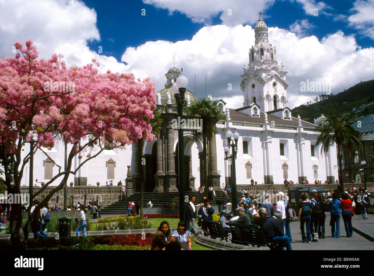Metropolitan cathedral into the Independance place in the old Quito Pinchincha Province Stock Photo