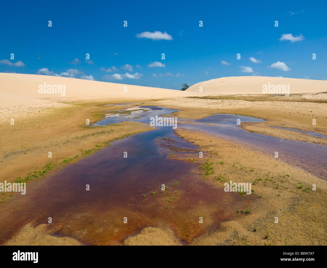 Moist dunes on a fluvial island in the Parnaiba Delta, Piaui state, northeastern Brazil. Stock Photo