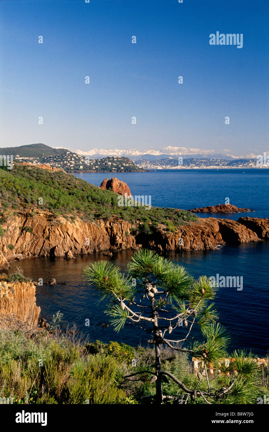 Typical Esterel shore with the Mercantour snowed mountain in winter time Stock Photo