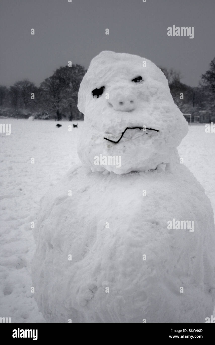 funny snowman head Stock Photo