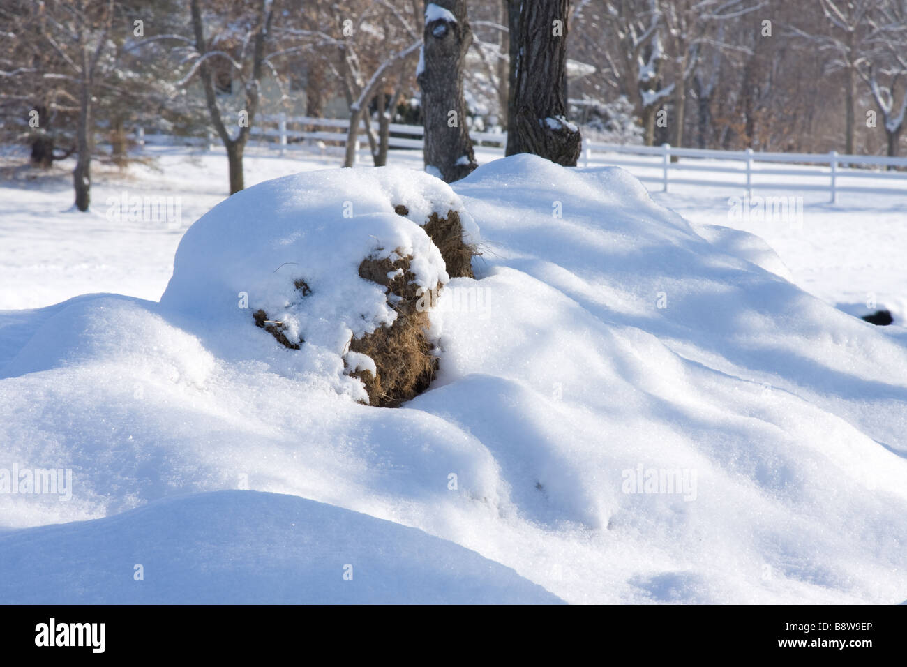 Winter scene with snow covered rocks and shadows Stock Photo