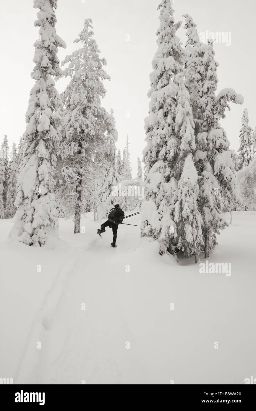 Person in the forest hi-res stock photography and images - Alamy
