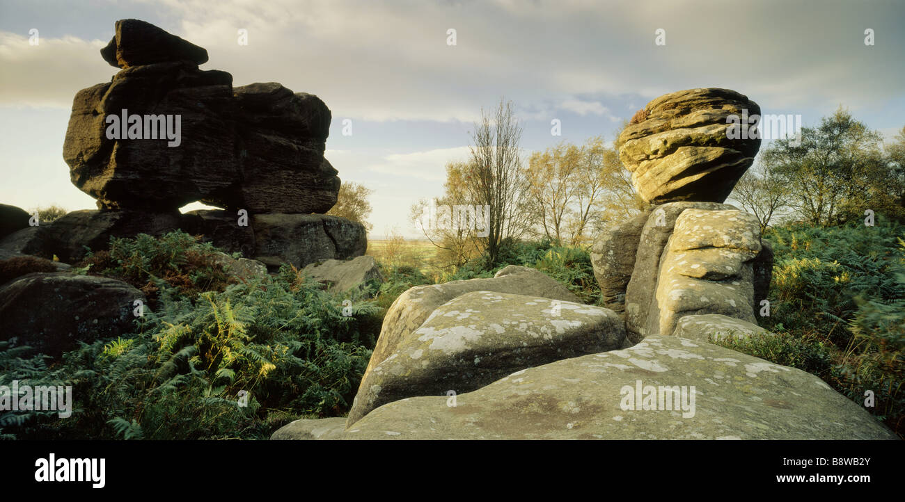 Brimham Moor and Rocks Stock Photo - Alamy