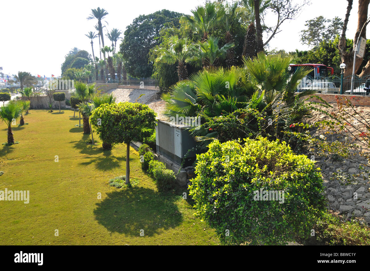 Green plants and trees in Cairo Egypt Stock Photo - Alamy
