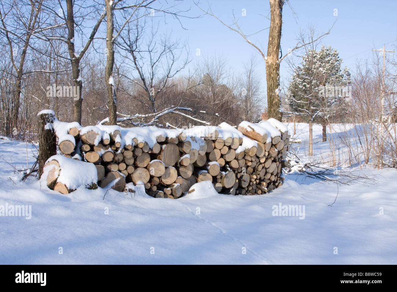 Stacked firewood covered with snow Stock Photo