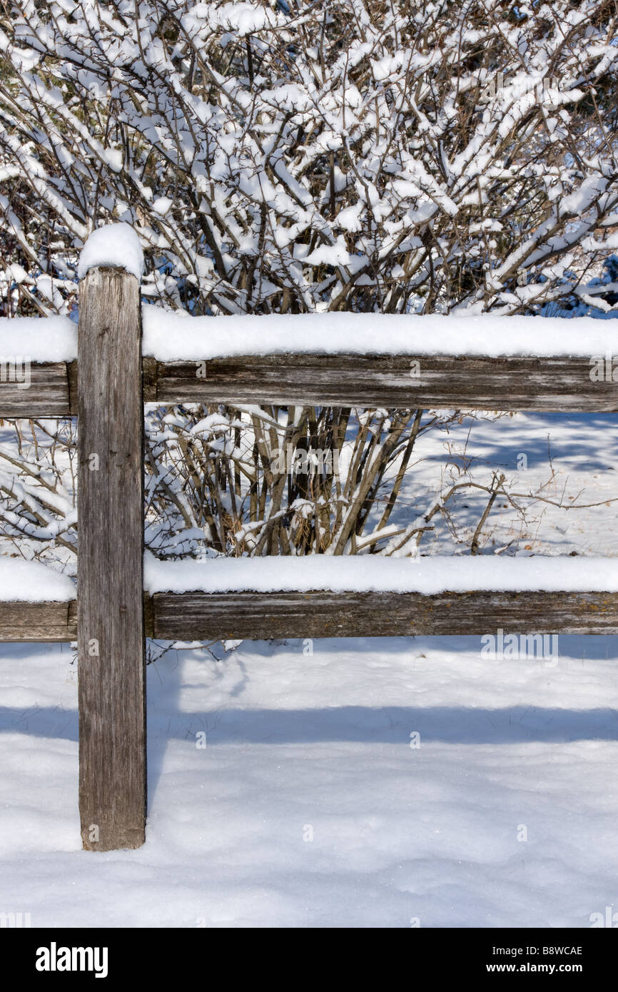 Snow covered fence with shadows Stock Photo