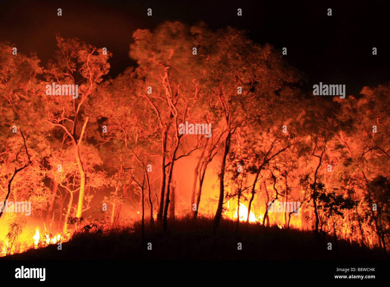 A controlled burn of vegetation north of Cairns, Queensland Stock Photo