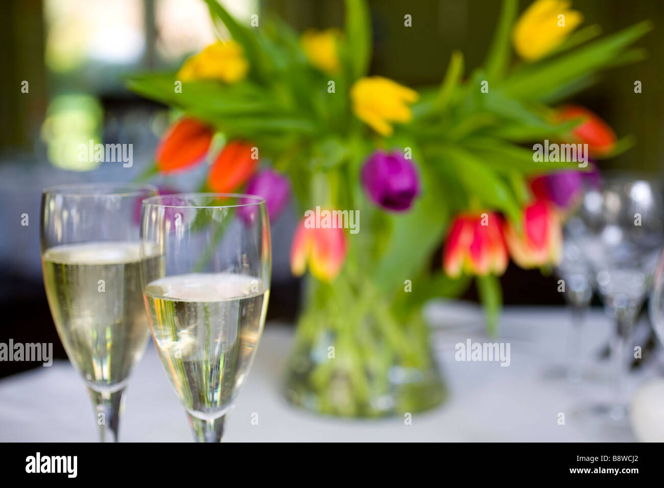 Champagne Glasses Flowers Tulips Hote Isle of Wight England UK Stock Photo