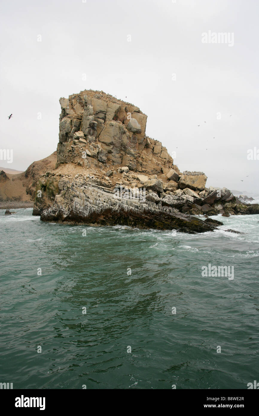 A Promontory on San Lorenzo Island, Callao Islands, Lima, Peru, South America with Several Colonies of Seabirds Stock Photo