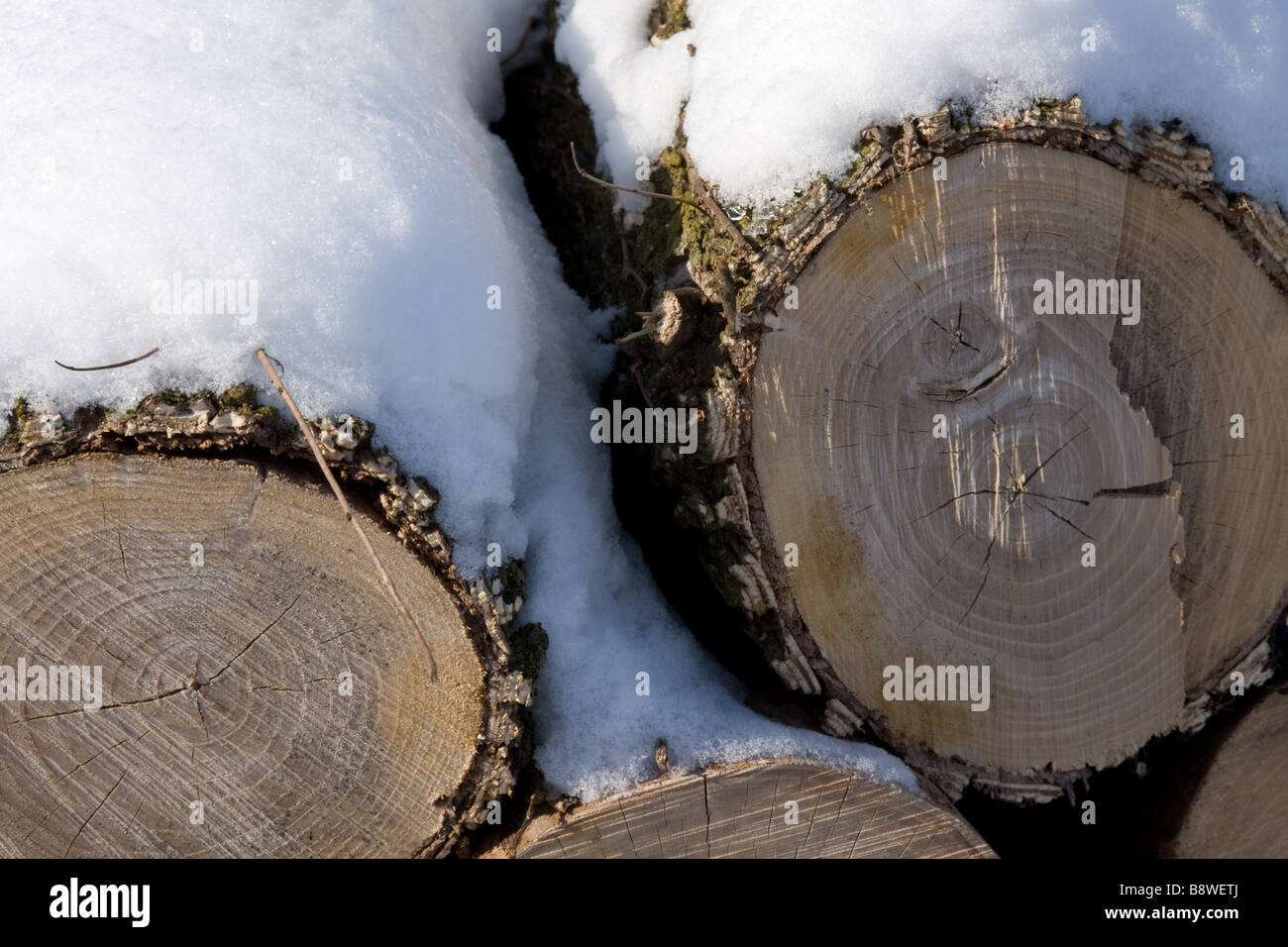 Stacked firewood covered with snow Stock Photo