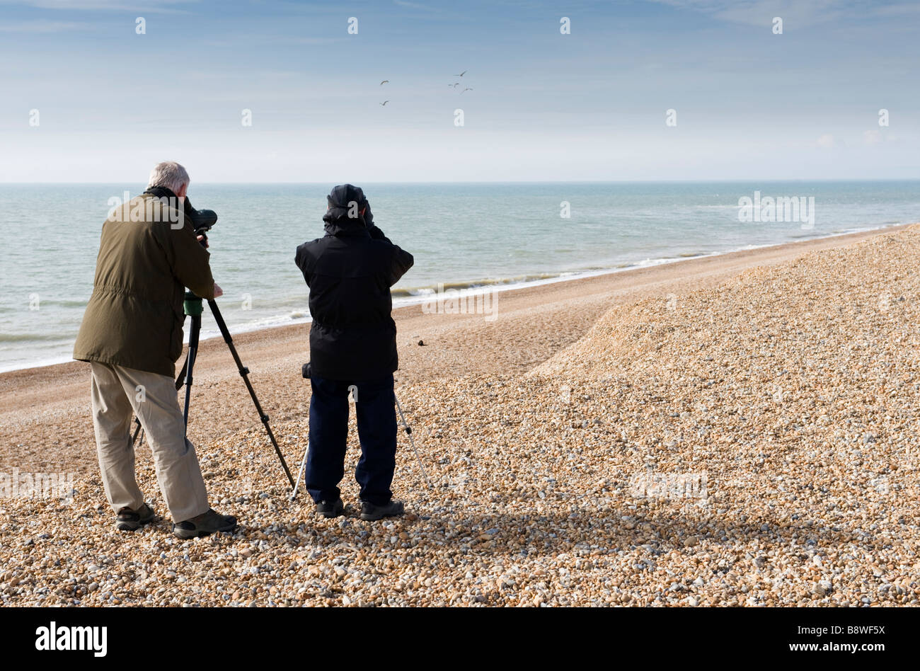 Two bird watchers bird watching on the shoreline at Dungeness in Kent