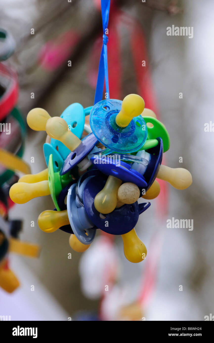 Bunch of Dummy/Pacifier on a dummytree Stock Photo Alamy