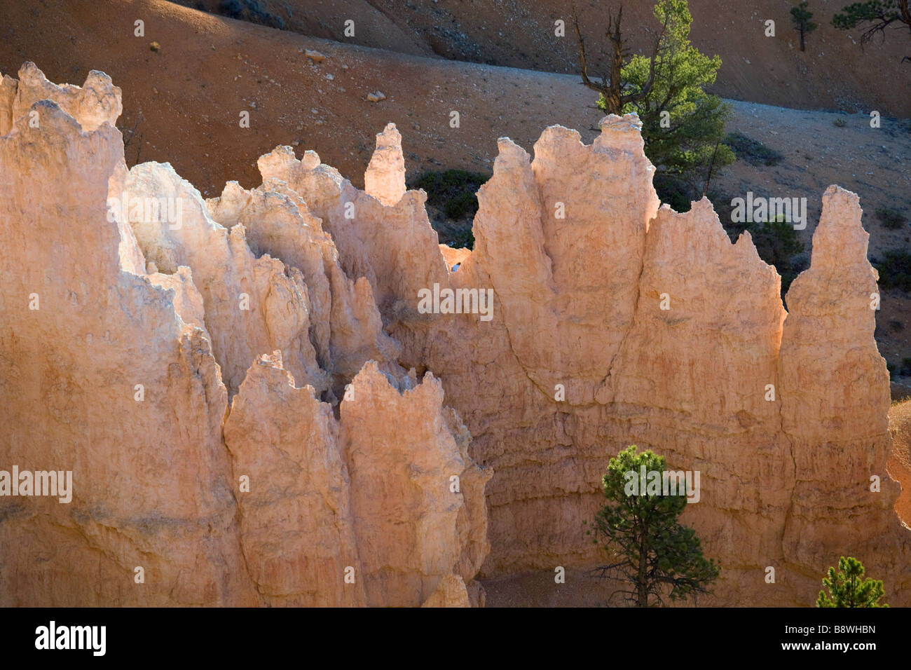 View of Bryce Amphitheater from the Rim Trail in Bryce Canyon National Park Utah Stock Photo