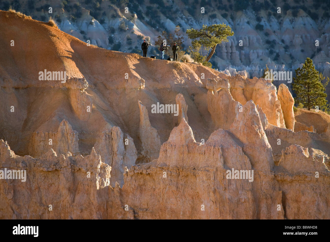 Photographers in Bryce Amphitheater in Bryce Canyon National Park Utah Stock Photo
