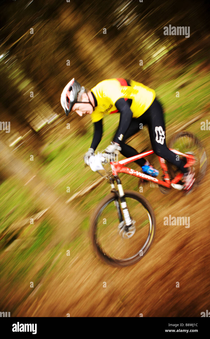 Mountain Bike rider at speed in woods Stock Photo Alamy