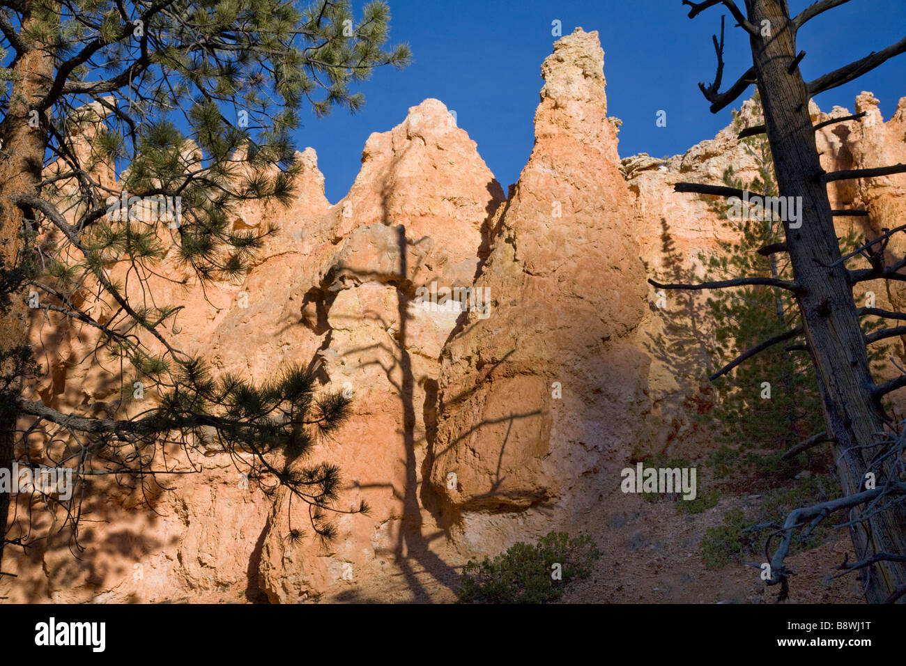 Formation along a trail in Bryce Amphitheater in Bryce Canyon National Park Utah Stock Photo