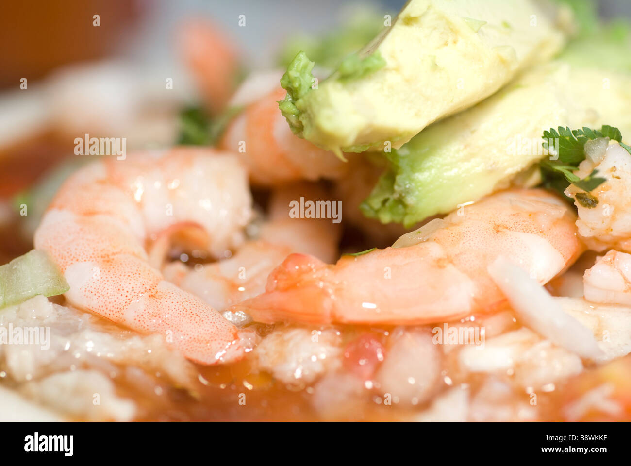 a mexican cuisine Stock Photo
