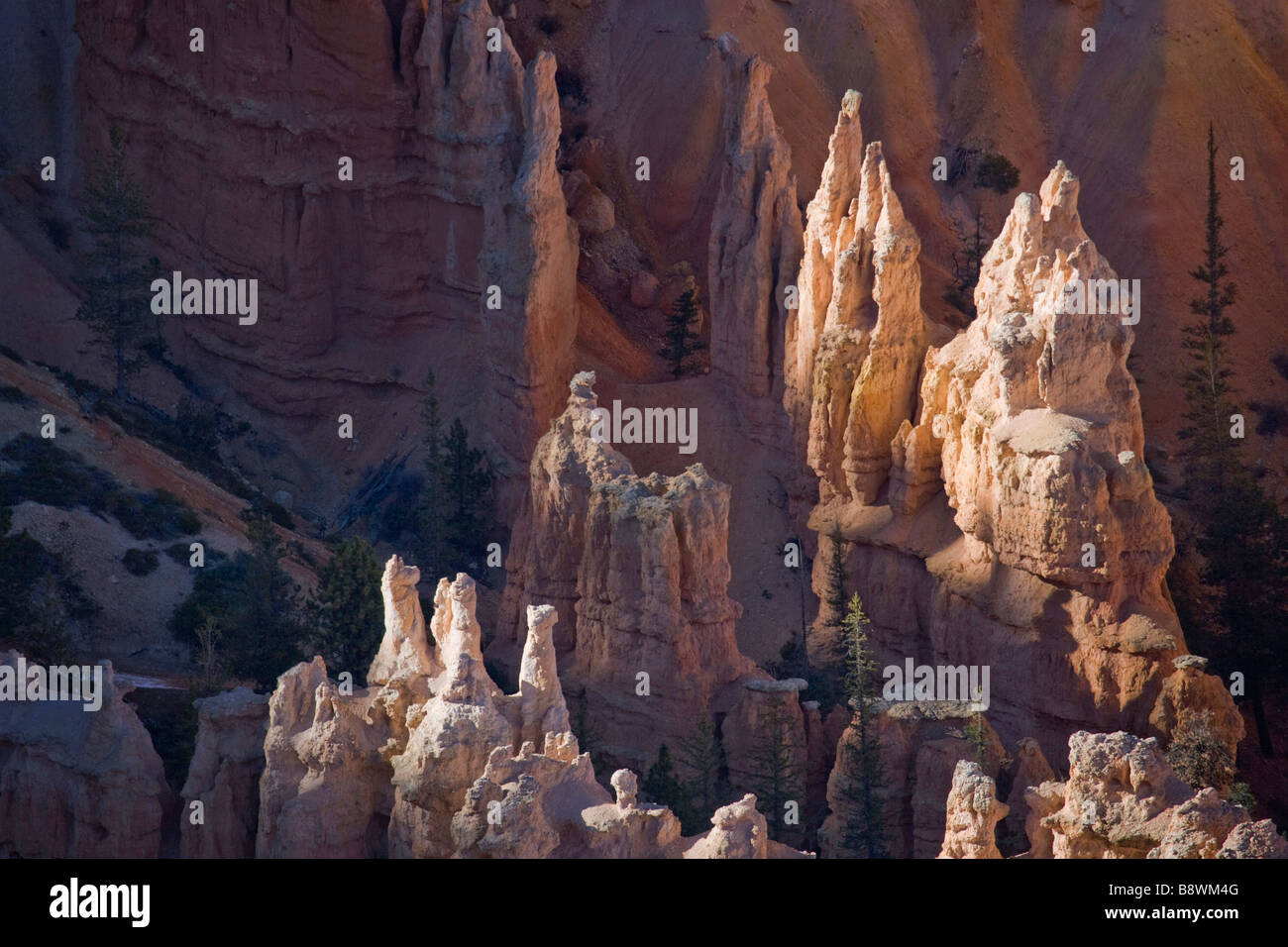 View of Bryce Amphitheater from Bryce Point in Bryce Canyon National Park Utah Stock Photo