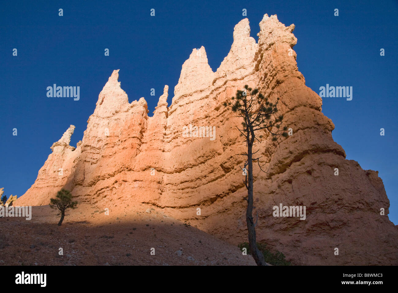 Formation along a trail in Bryce Amphitheater in Bryce Canyon National Park Utah Stock Photo