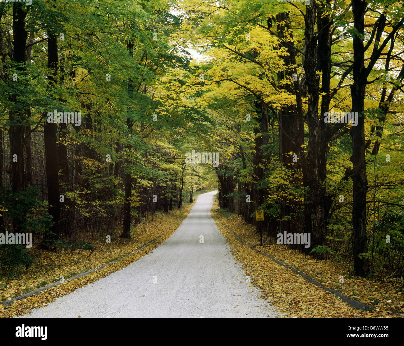 Beautiful road england hi-res stock photography and images - Alamy