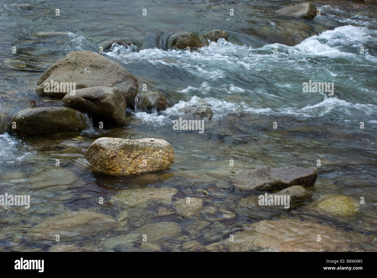 Brooklet hires stock photography and images Alamy