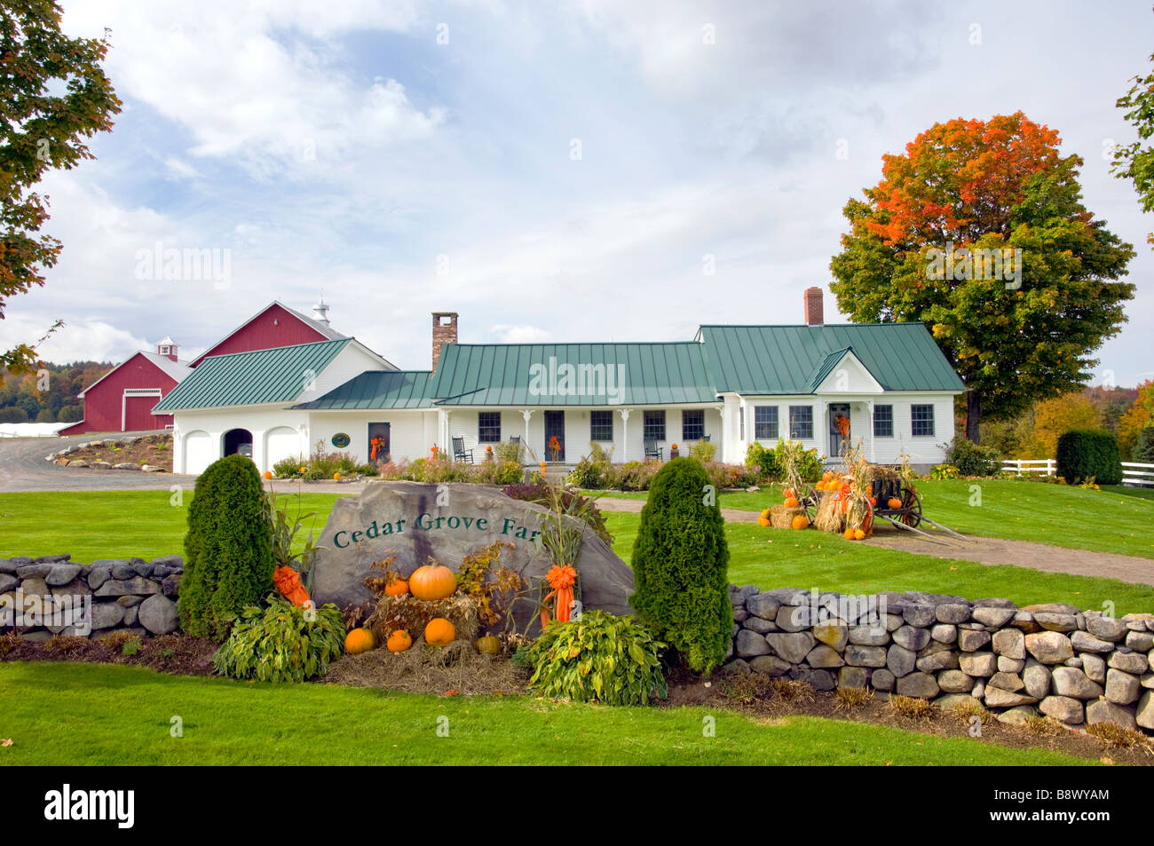 Fall decor with pumpkins at the Cedar Grove Farm near Peacham Vermont USA Stock Photo