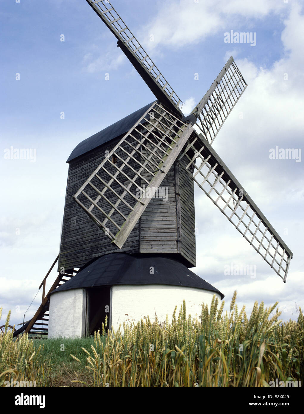 View of Pittstone Windmill one of the oldest post mills in England with corn growing in the foreground Stock Photo