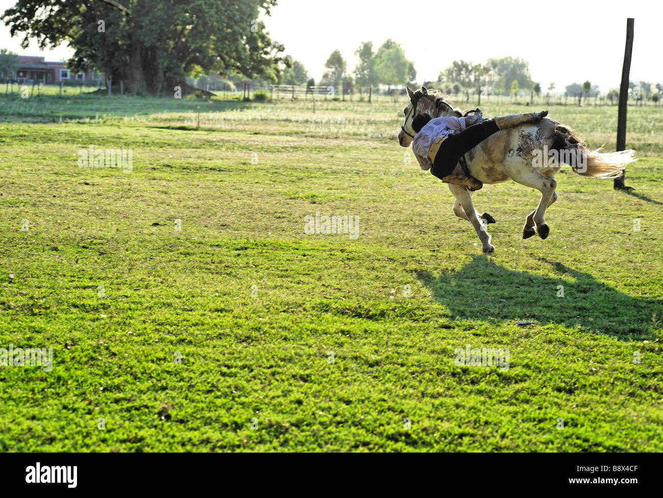 Gaucho (Argentinean Cowboy) demonstrating how to be invisible while riding a horse - Argentina Stock Photo