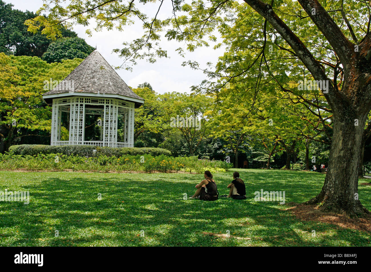 Rain tree singapore botanic gardens hires stock photography and images