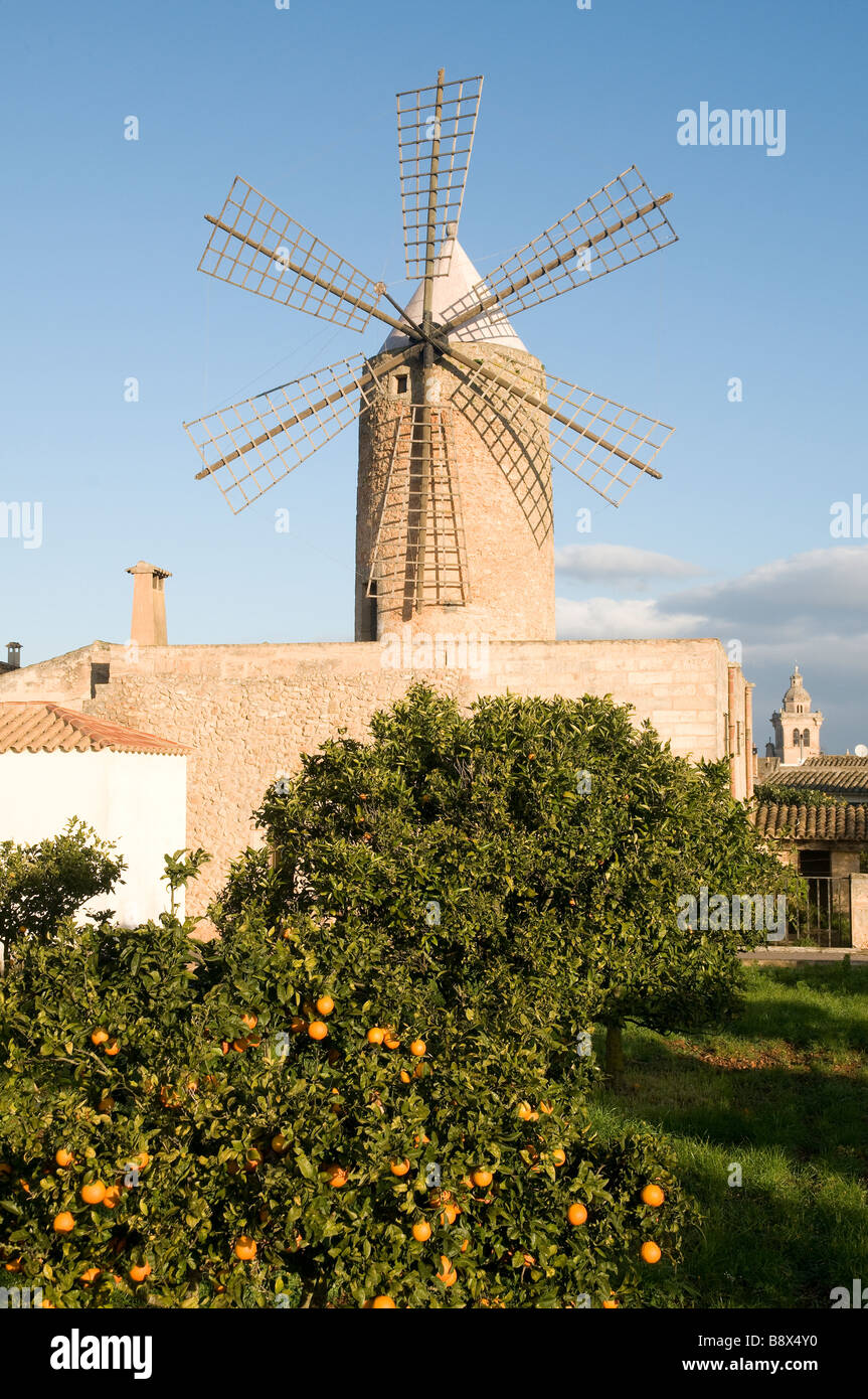 Europe Spain Balearic Islands Majorca Algaida historic windmill Mallorca Stock Photo