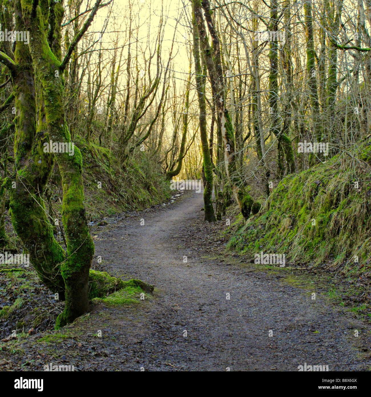 Twisty path hi-res stock photography and images - Alamy