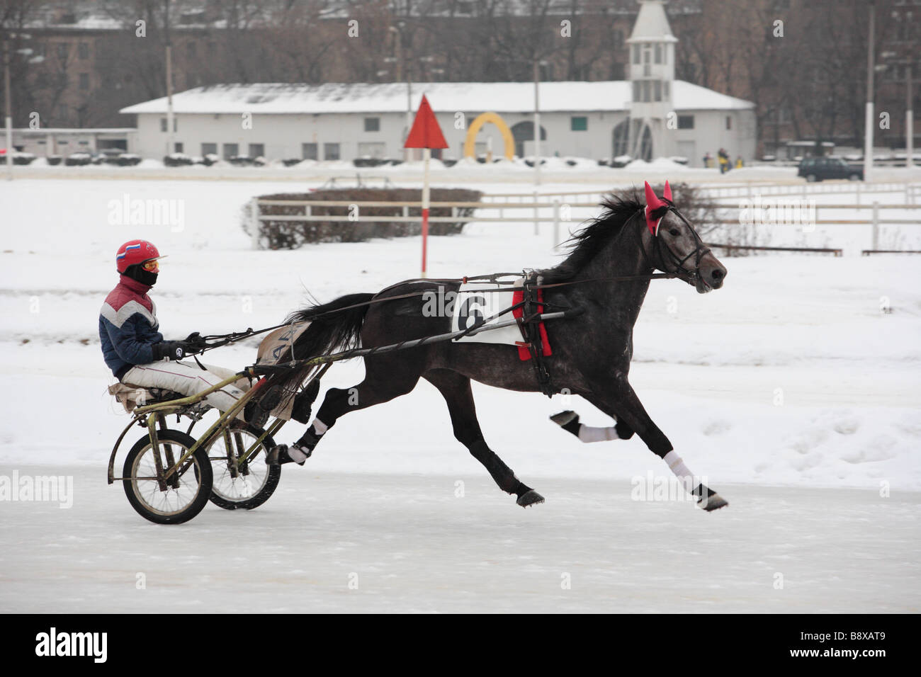 Trotter race Stock Photo - Alamy