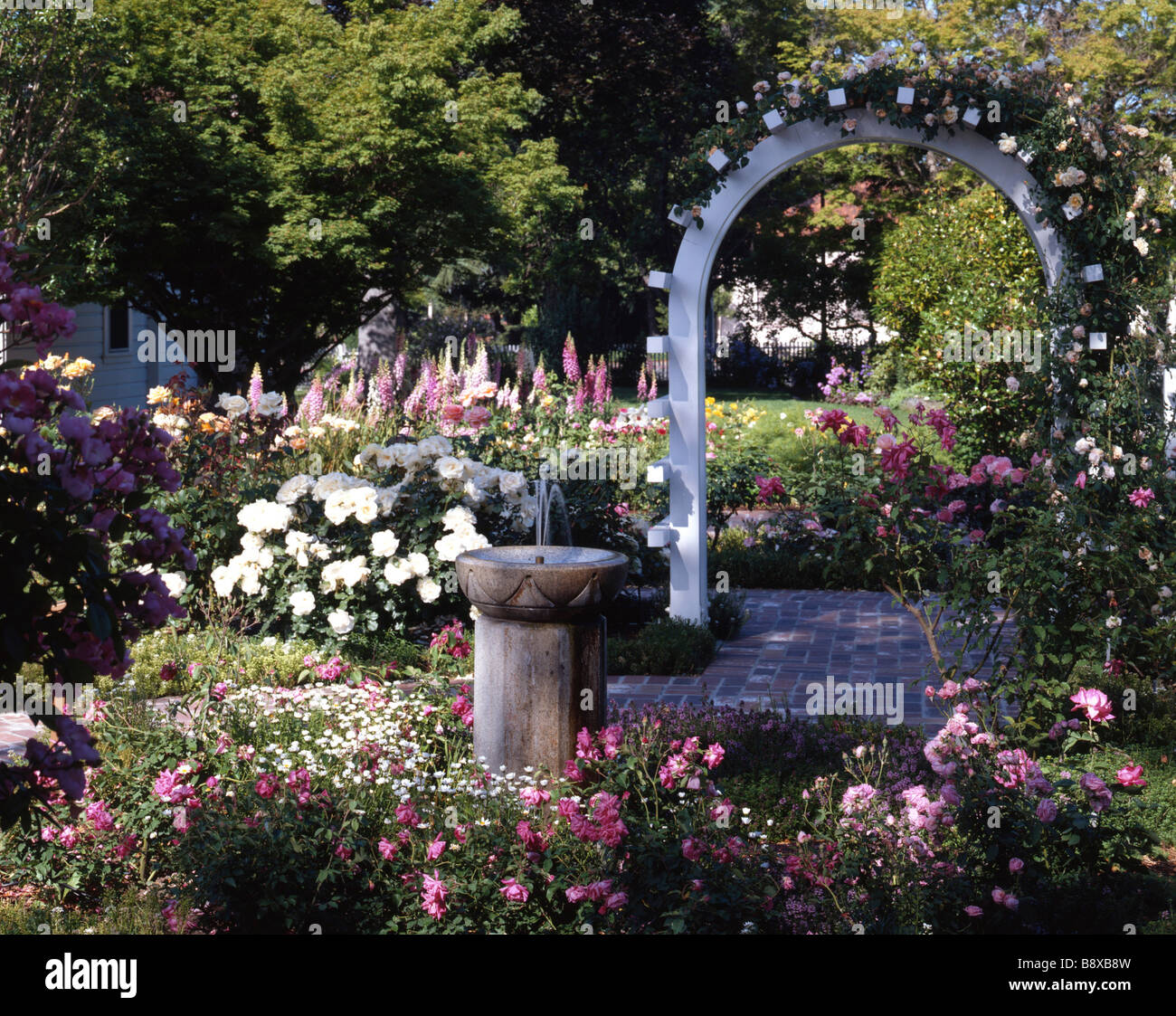 Flowers in a garden, Luther Burbank Home and Gardens, Santa Rosa,  California, USA Stock Photo - Alamy