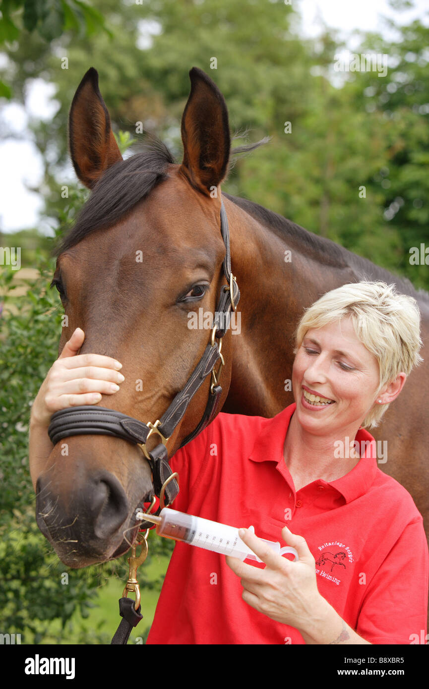 Horse delivery hires stock photography and images Alamy